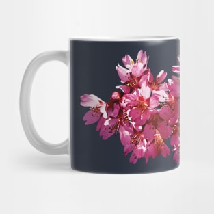 Cherry Blossoms Mug